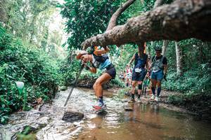 BIB: 
                            <button type="button" onclick="openModal(25369866)" class="btn btn-primary btn-sm float-right btn-popup" data-toggle="modal" data-target=".modal-high-quality">
                        <i class="fas fa-shopping-cart"></i> Add to Cart
                    </button>
                                            <button type="button" onclick="isThisMe(25369866, true)" class="btn btn-success btn-sm float-right btn-popup btn-isme hidden" data-toggle="tooltip" data-placement="bottom" title="นี่คือรูปของคุณใช่ไหม คลิกที่นี่เพื่อเอาเข้าอัลบั้ม">
                        <i class="fas fa-plus"></i> Add to album
                    </button>
                    <button type="button" onclick="isThisMe(25369866, false)" class="btn btn-warning btn-sm float-right btn-popup btn-isnotme hidden">
                        <i class="fas fa-ban"></i> Remove from album
                    </button>